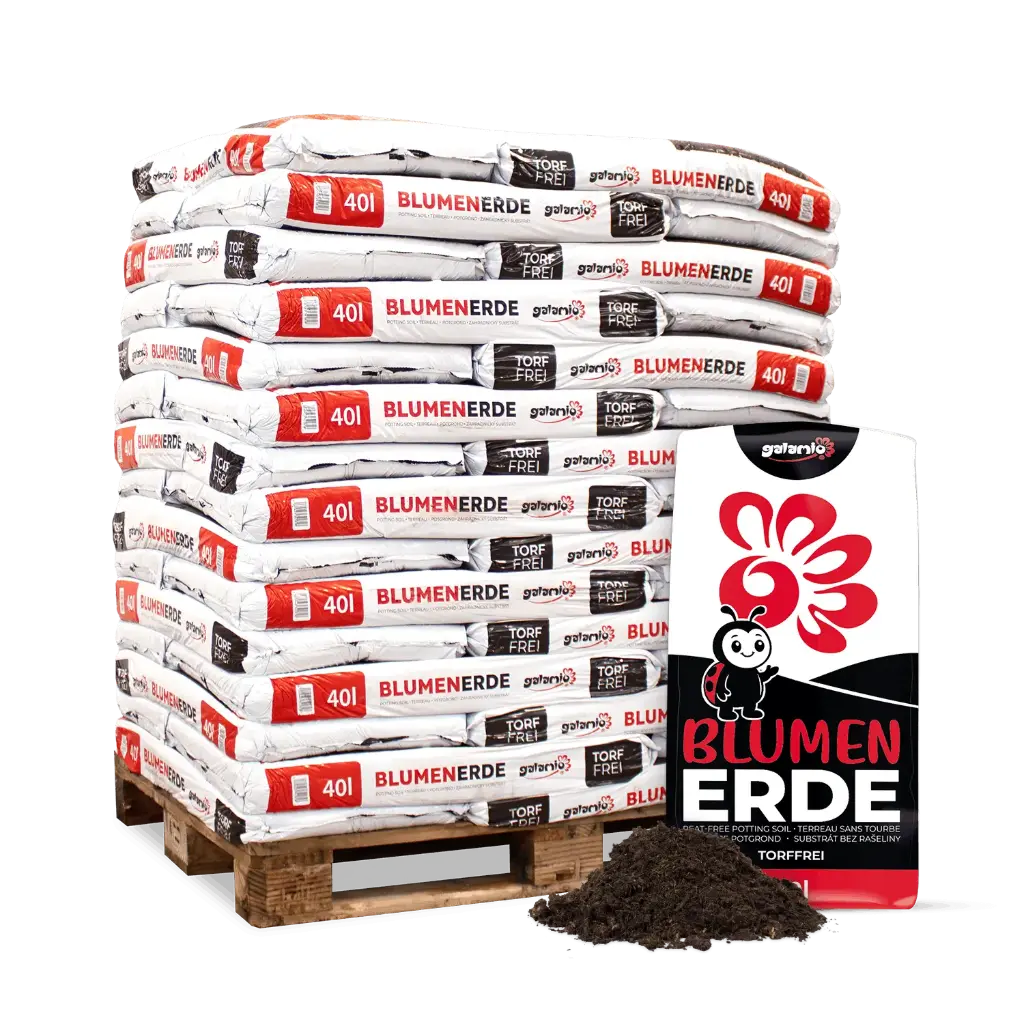 Galamio Blumenerde torffrei 40 l 